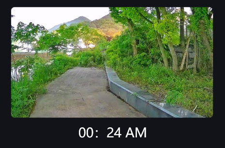 어둠 속에서도 보기: 나이트 비전 보안 블랙 라이트 카메라에 대한 간단한 가이드